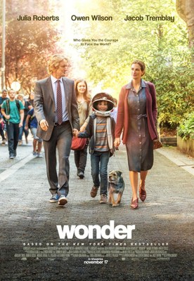 Wonder Wonder