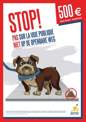 chiens chiens