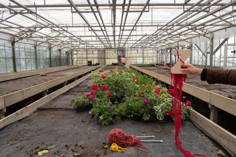 12 et 13 octobre : Vénus aux 1000 fleurs aux serres communales