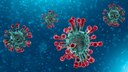 Update coronavirus - 12.03 - report de toutes les activités intergénérationnelles