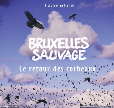 bxl sauvage