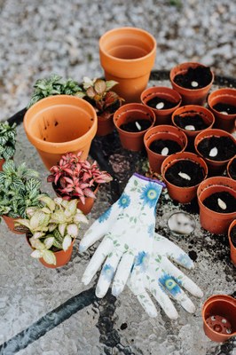 Fête plantotek grainothèque