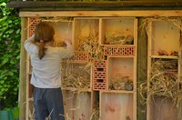 Une petite fille participe à la construction d'un hôtel pour insectes