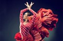 Flamenco