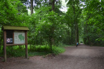 Het Laarbeekbos